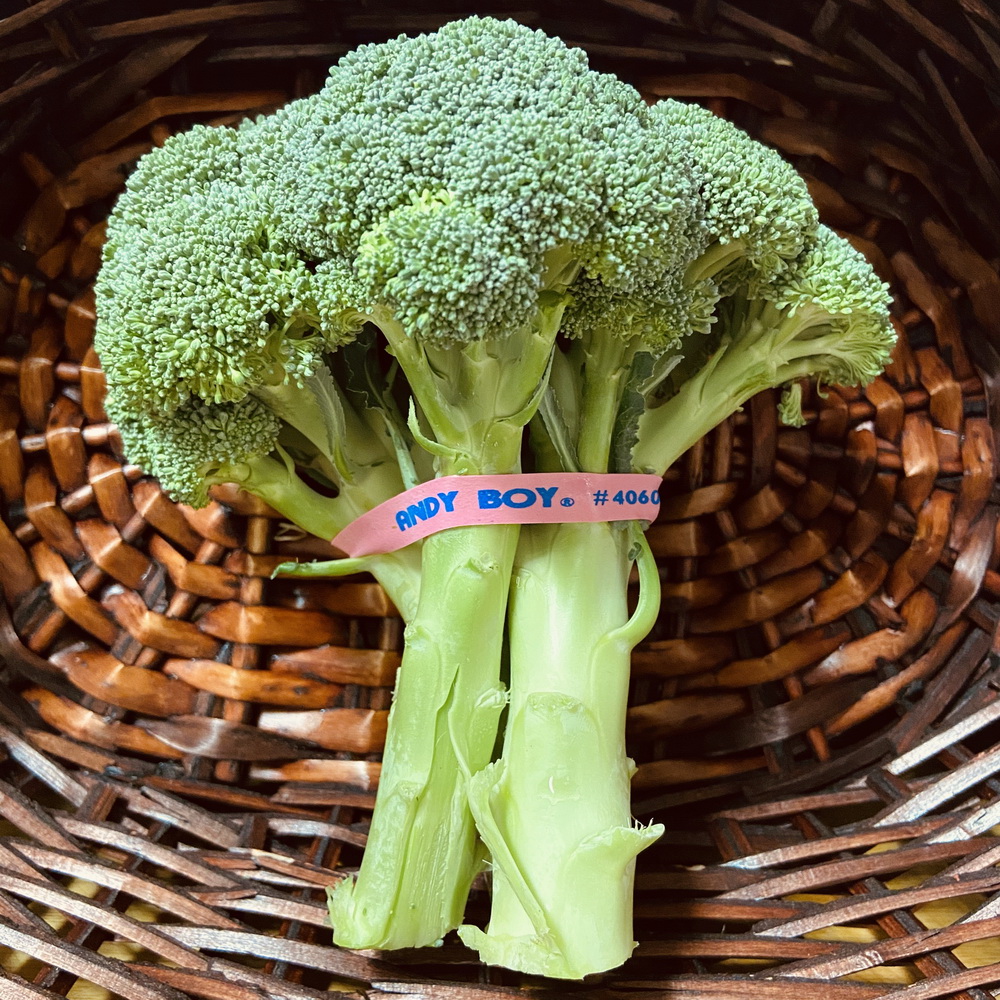 Broccoli  (1 piece)