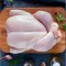  Turkey - Fresh - Pasture Raised - 12-20+ lbs 