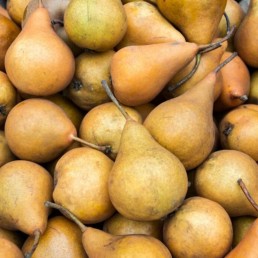 Pears - Bosc - Organic - 90 count
