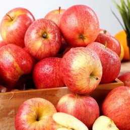 Apple - Gala - Organic - Ontario - 25 lbs