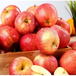 Apple - Gala - Organic - Ontario - 25 lbs