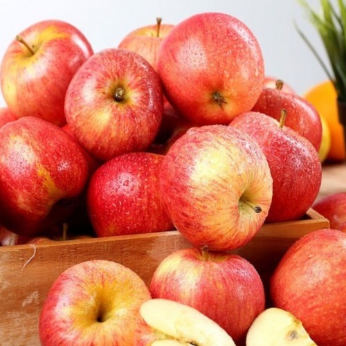 Apple - Gala - Organic - Ontario - 25 lbs