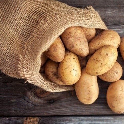 Potatoes - Russet - Local Organic - Pfennings - 50 lbs