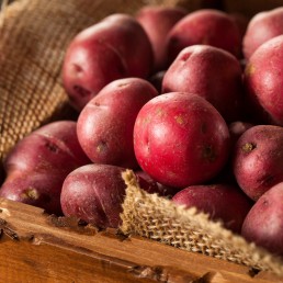 Potatoes - Red - Pfennings - Local Organic - 50 lbs