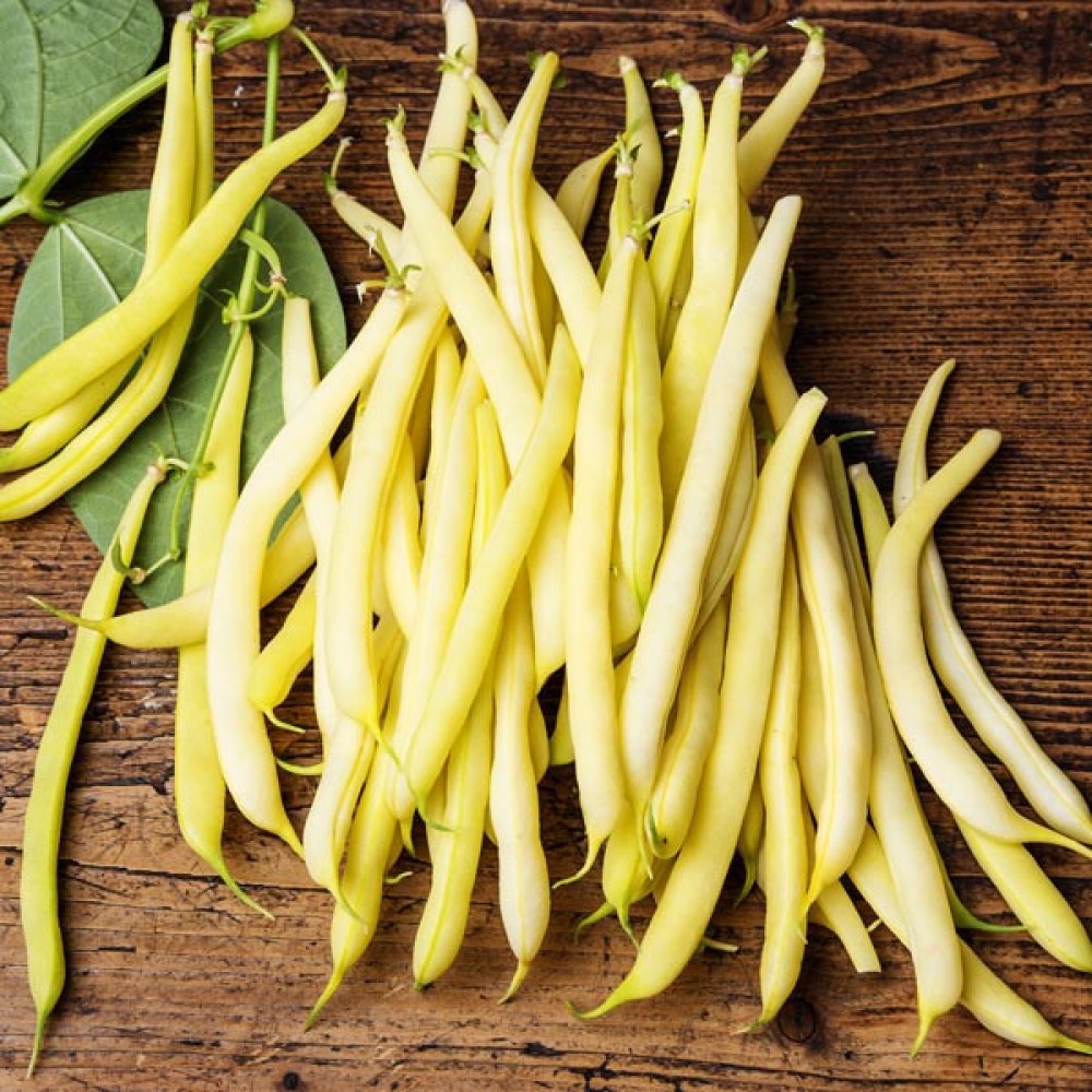 Beans - Yellow - Organic - Pfennings - 1/2  Bushel 