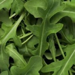 Arugula - Locally Grown