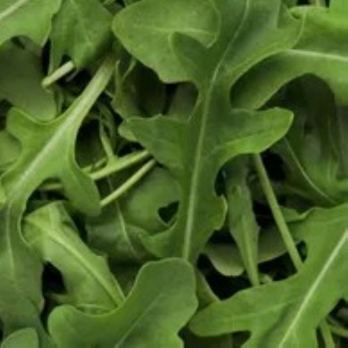 Arugula - Locally Grown