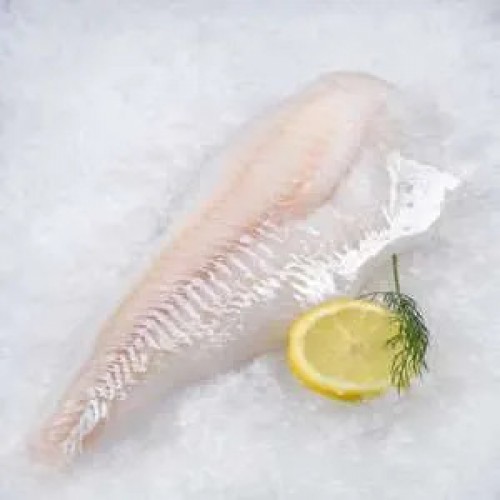 Newfoundland Cod