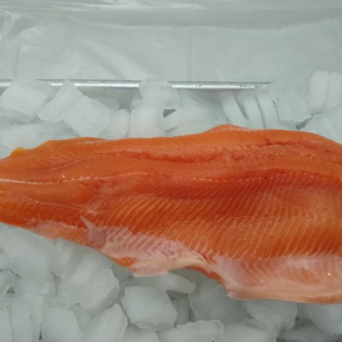 Fresh Rainbow Trout Fillet (1LB)