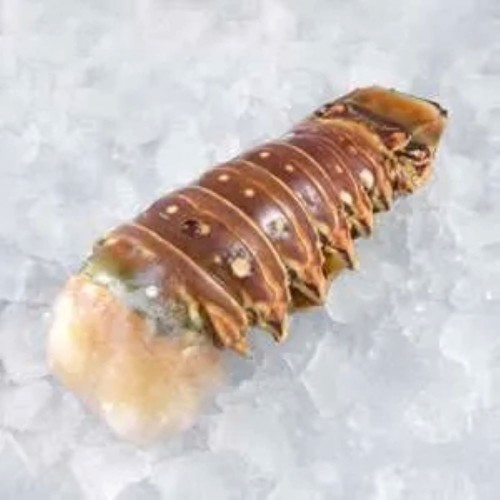 Carribean Lobster Tails (5oz)