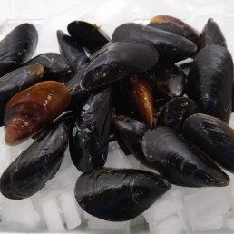 Fresh PEI mussels (2LB)