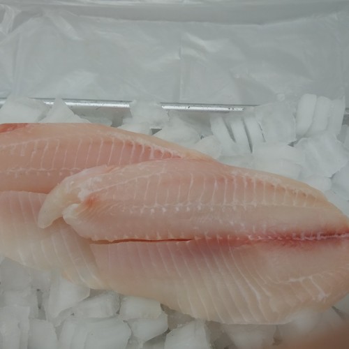 Fresh Ecuadorian Tilapia (1LB)