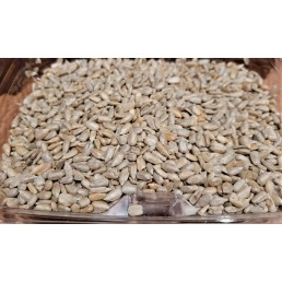 Roasted Salted Sunflower Seeds