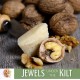 Jewels Under The Kilt - Gift Box