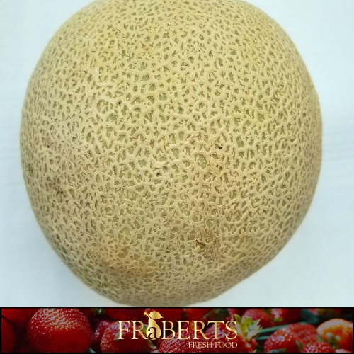 Cantaloupe