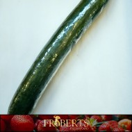 Cucumbers (English)