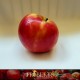 Apples - Honey Crisp