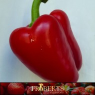 Bell Peppers (Red) (1lb)